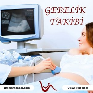 Gebelik Takibi