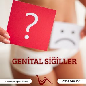 HPV ve Genital Siğiller